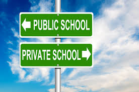 public school or private school