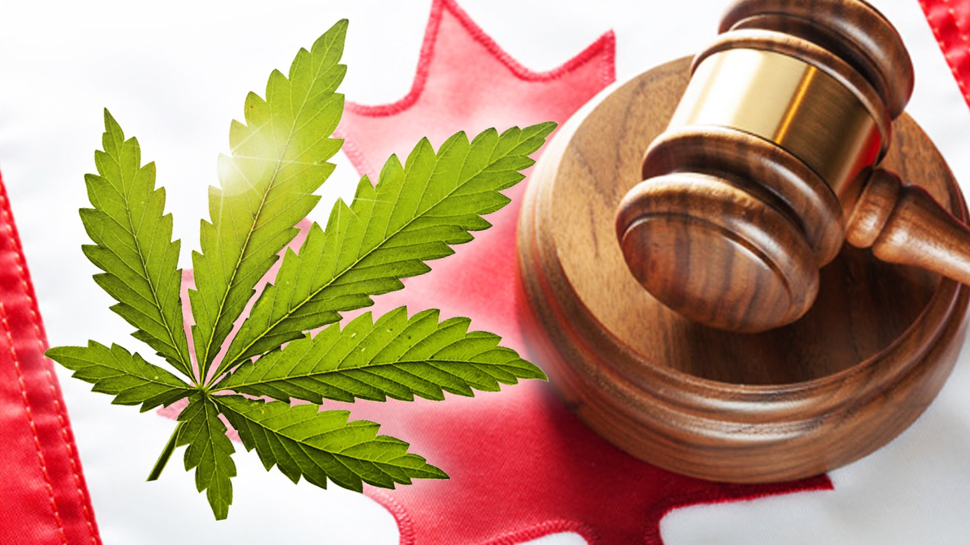 marijuana laws in canada